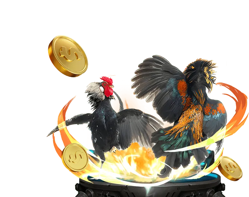 Giao diện đặt cược đá gà good888 casino